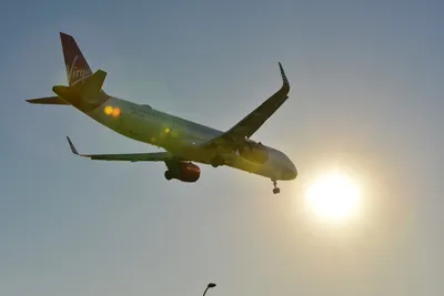 DSC_5694 (Large).JPG